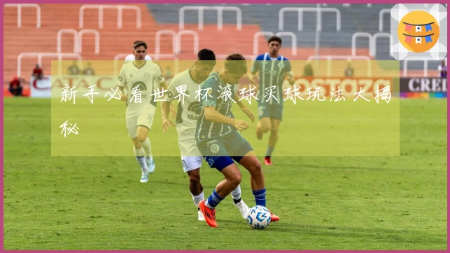 新手必看世界杯滚球买球玩法大揭秘