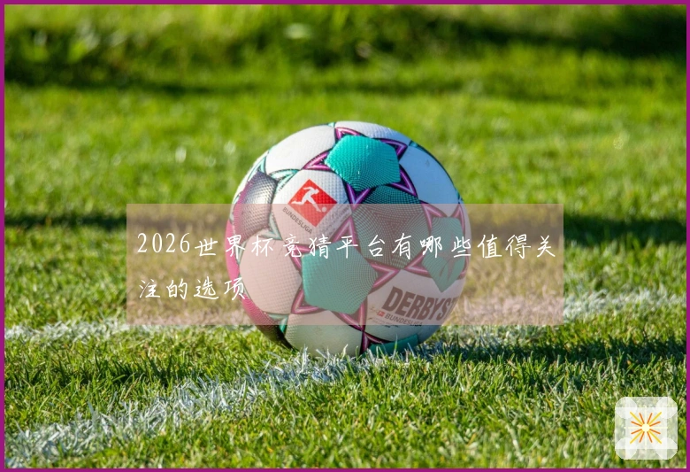 2026世界杯竞猜平台有哪些值得关注的选项