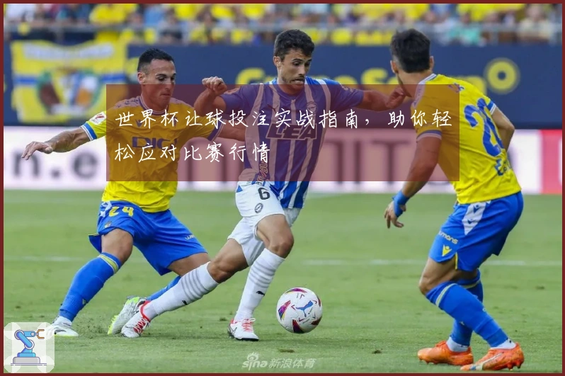 世界杯让球投注实战指南，助你轻松应对比赛行情