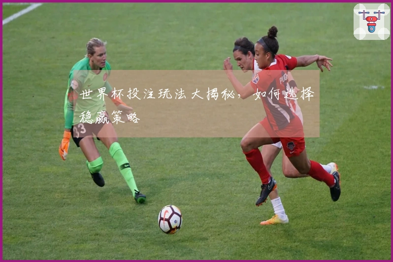 世界杯投注玩法大揭秘，如何选择稳赢策略